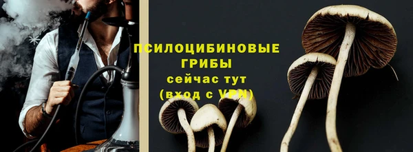 твердый Алзамай
