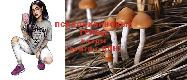 твердый Алзамай