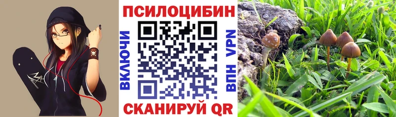 Псилоцибиновые грибы прущие грибы  Родники 